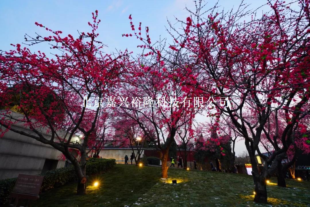 北京嘉興裕隆 北京嘉興裕隆