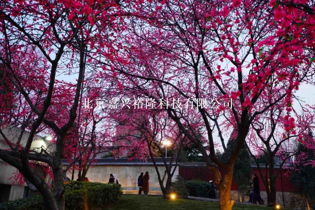 北京嘉興裕隆 北京嘉興裕隆